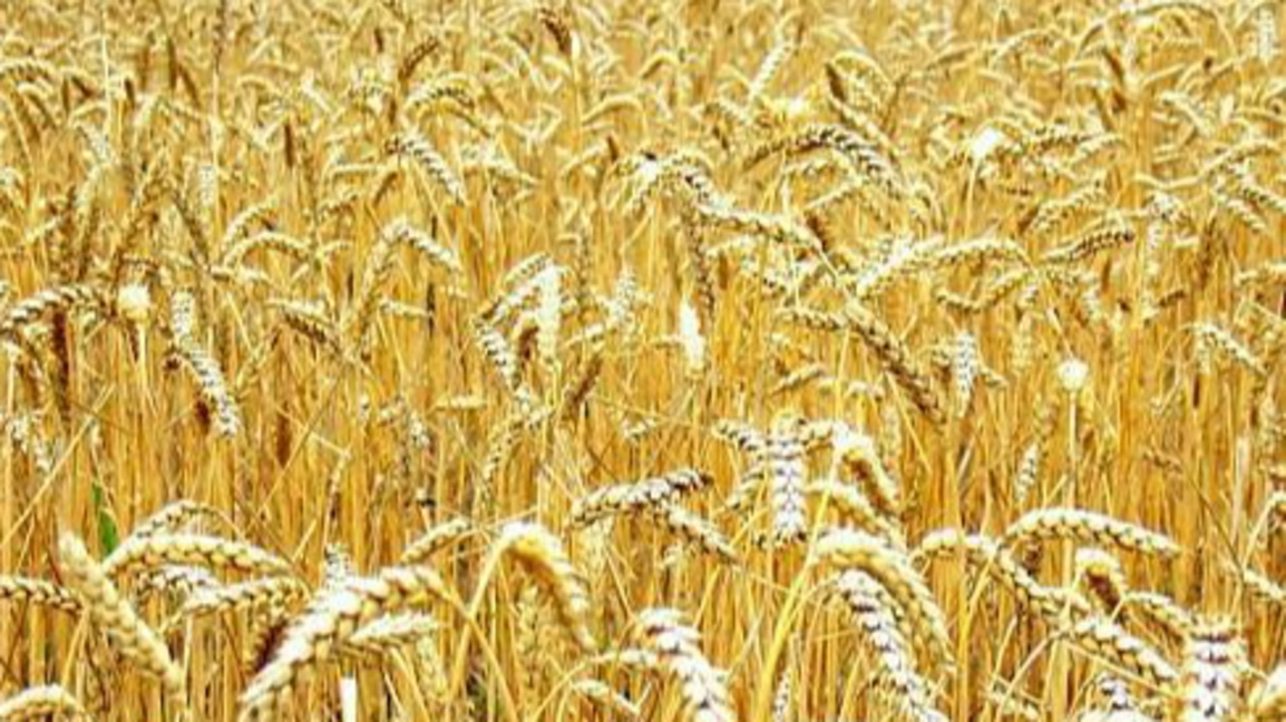 Експерт за споразумението ЕС-Меркосур: З...