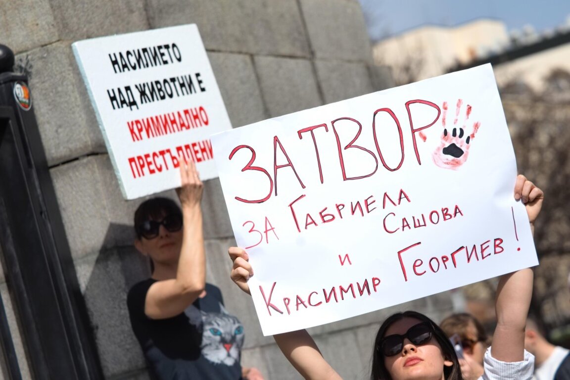 8 г. затвор за арестуваните за насилие над животни от Перник при доказване на обвиненията