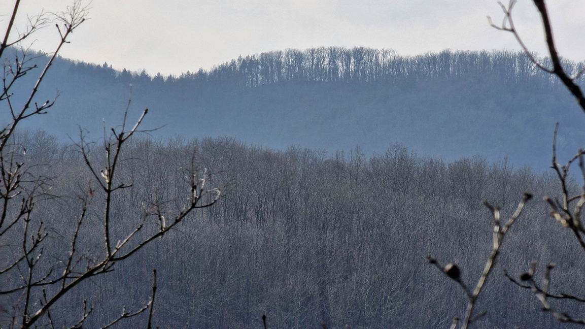După o dimineață geroasă,vremea se va încălzi în cursul zilei,fără precipitații