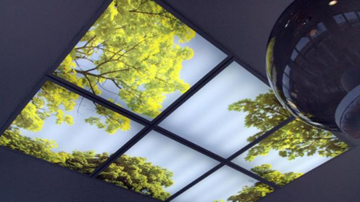 „На отворен прозорец“