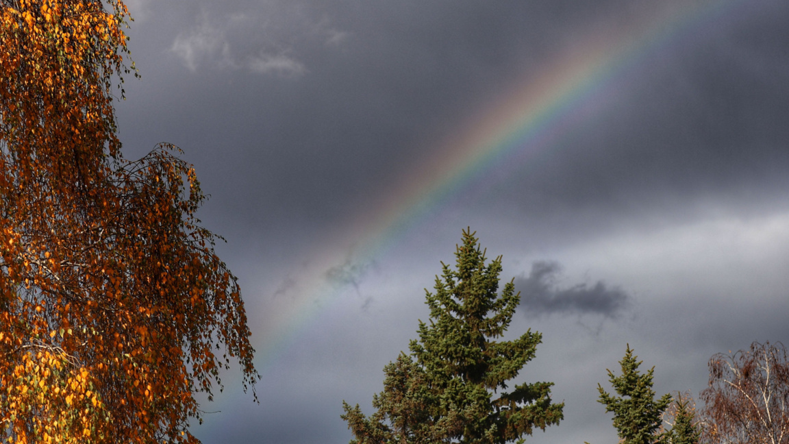 Жълт код за опасни валежи има за 16 обла...