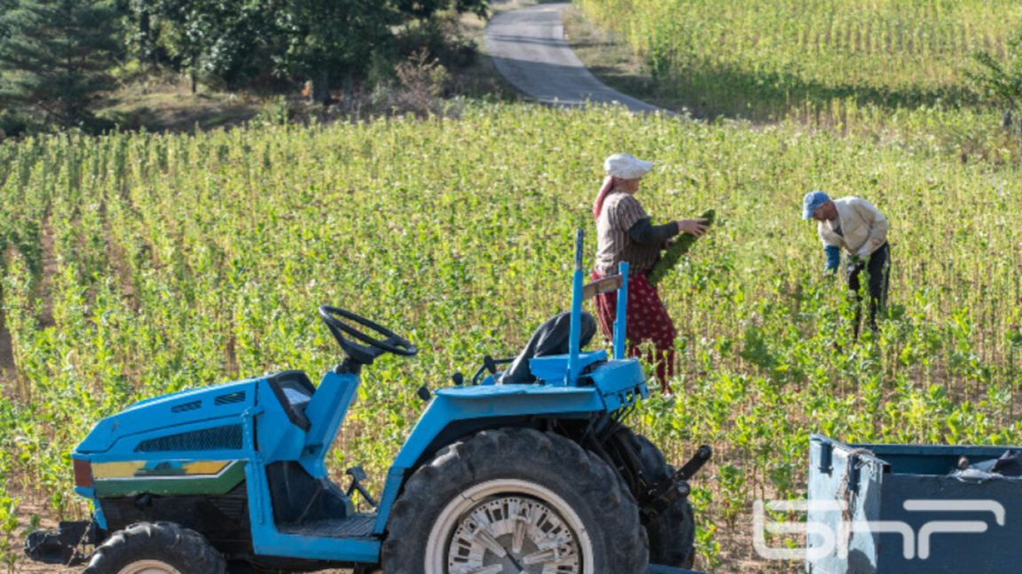 Земеделските работници са сред най-ниско...