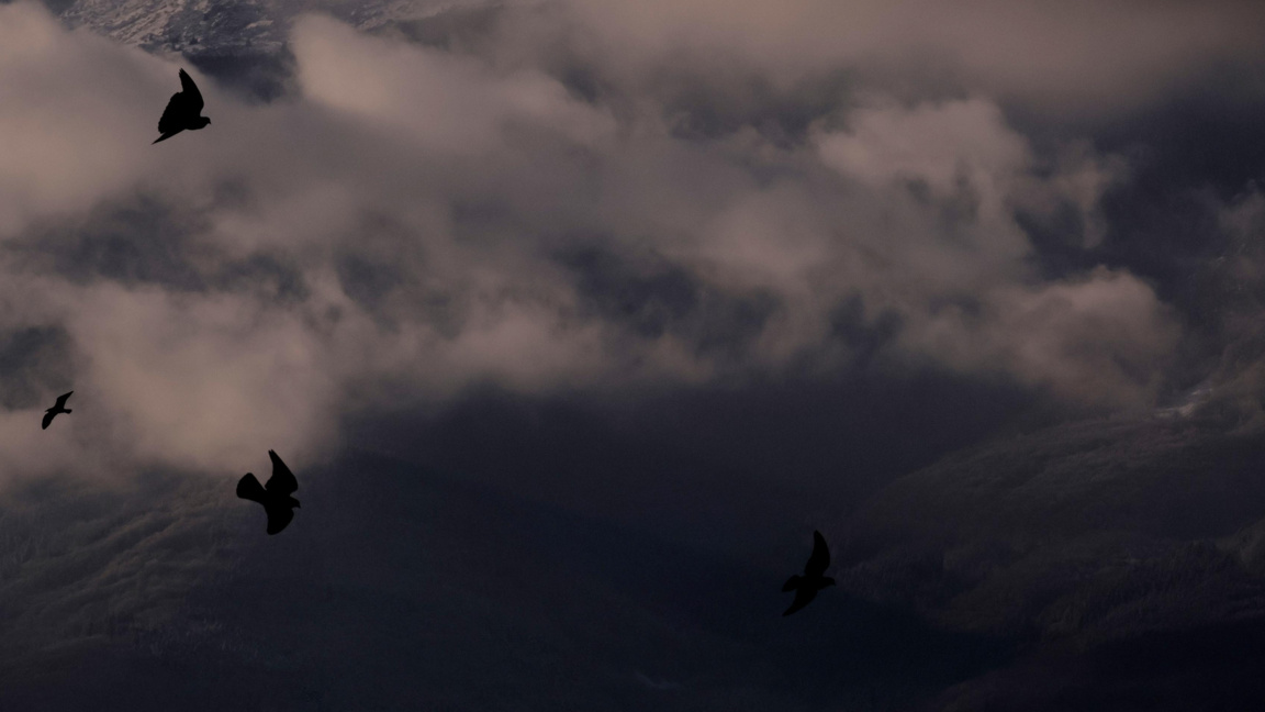 Снимката е илюстративна.