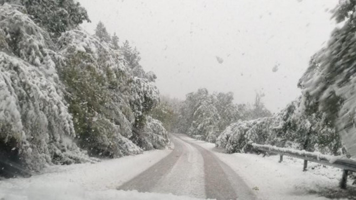 Частично бедствено положение в Смолян, 5 села са без ток