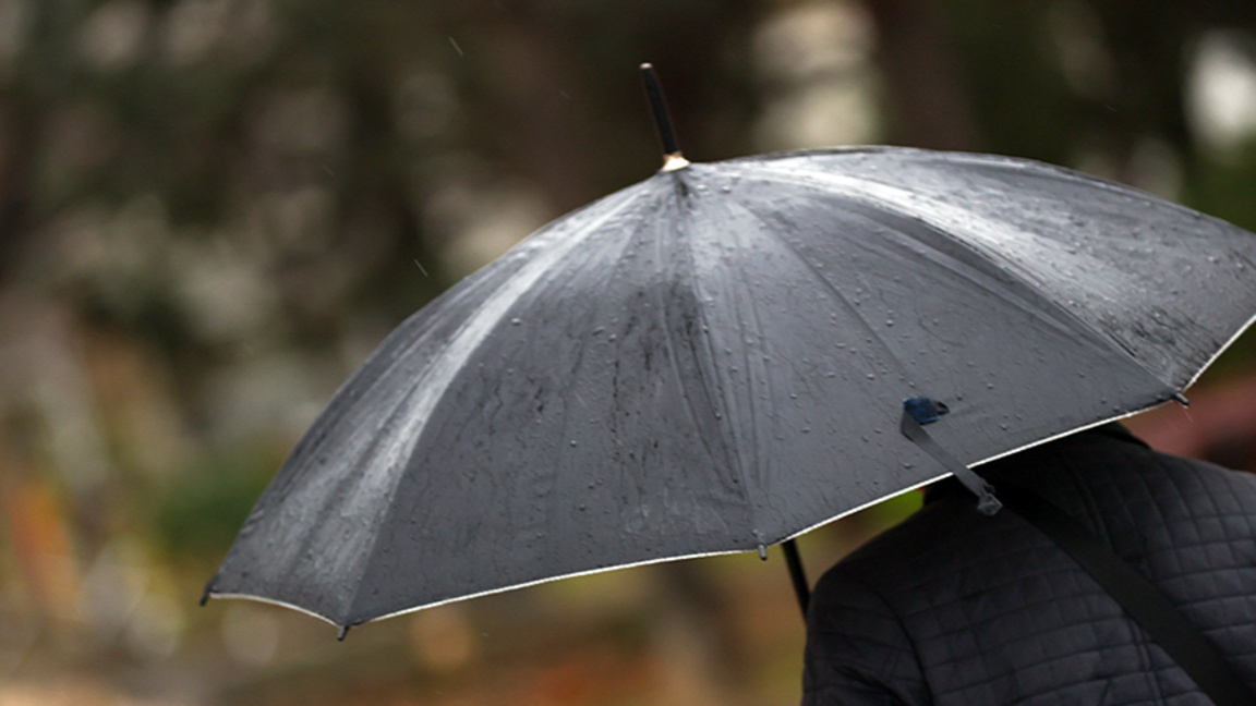 прогноза за времето, есен, дъжд, чадър
