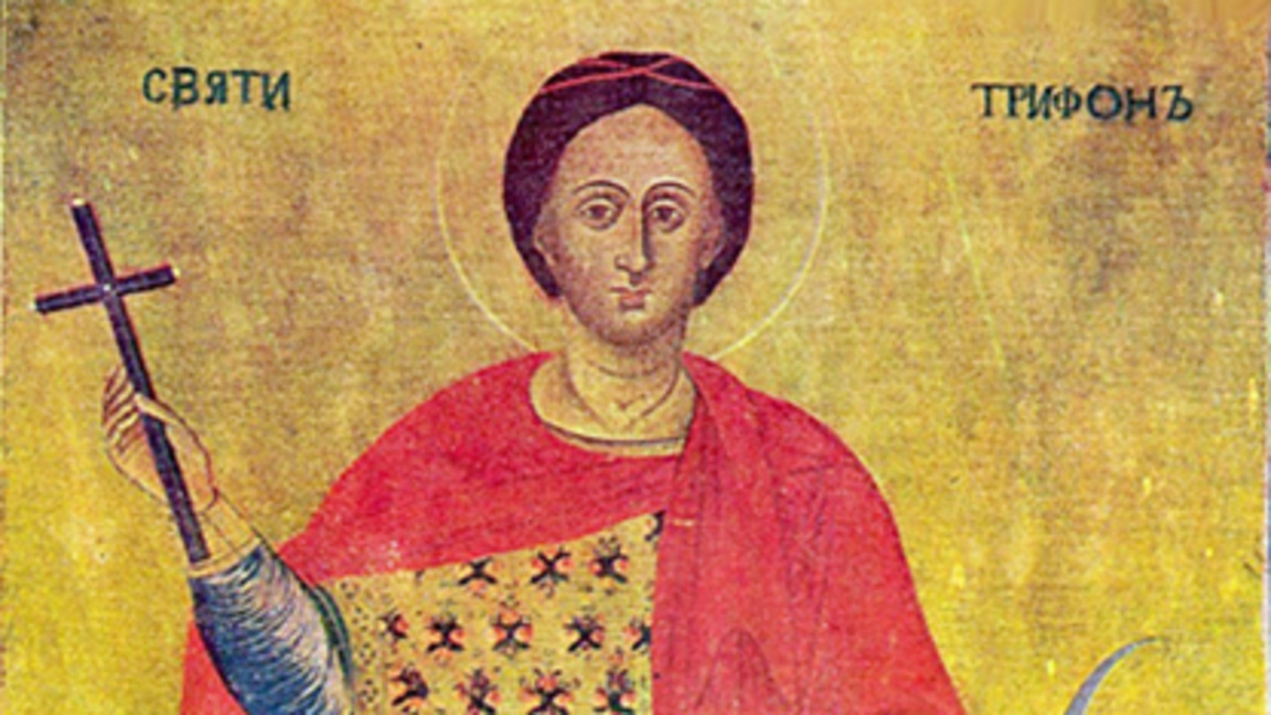 Le Jour de la Saint Tryphon combine des anciennes coutumes et légendes viticoles