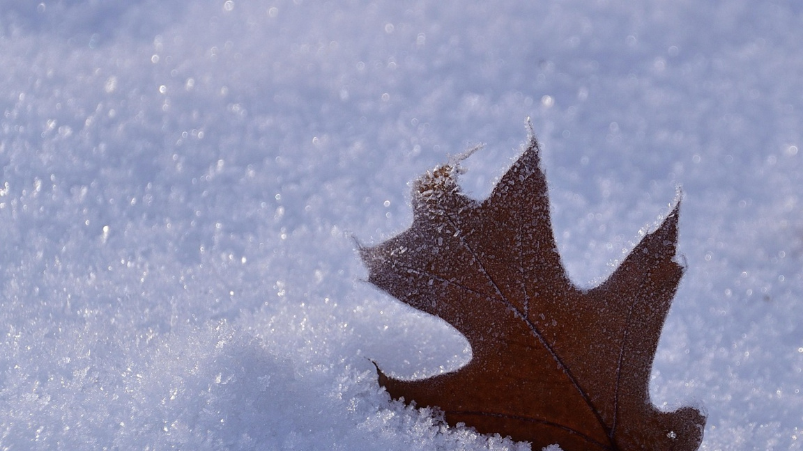 Снимката е илюстративна