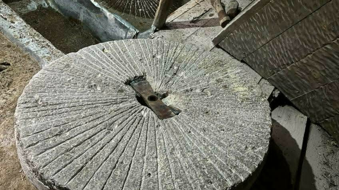 Ентусиасти ритат срещу профитата от „АРД...