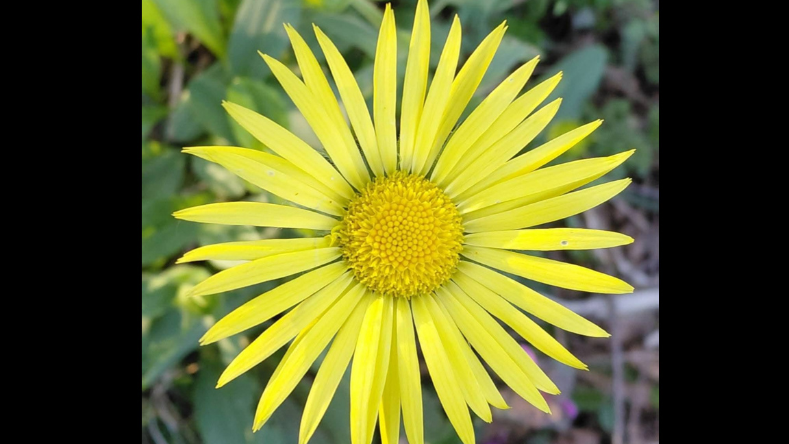 С ,,Оттука започва денят" по Радио Шумен...