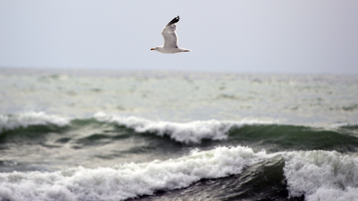 Временска прогноза за четвртак, 11. деце...
