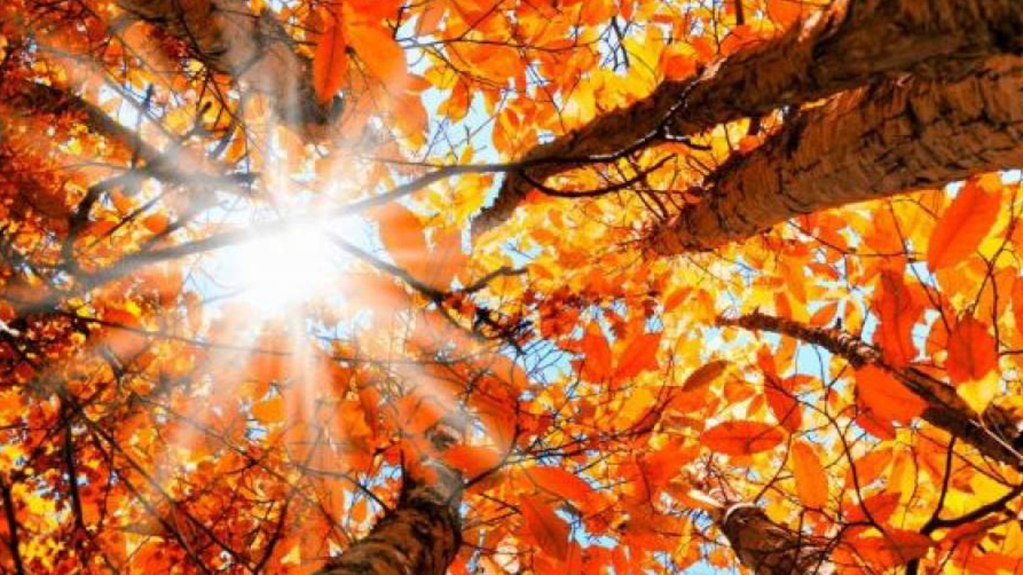 „На отворен прозорец“ с Лалка Радкова...