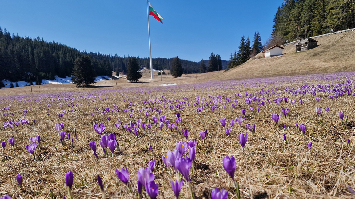 "Неделя у дома" с Латинка Павлова...