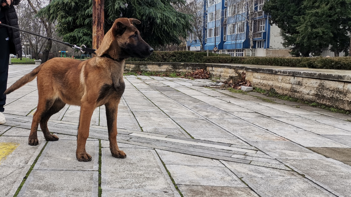 Кая – вихър от енергия и обич в дома