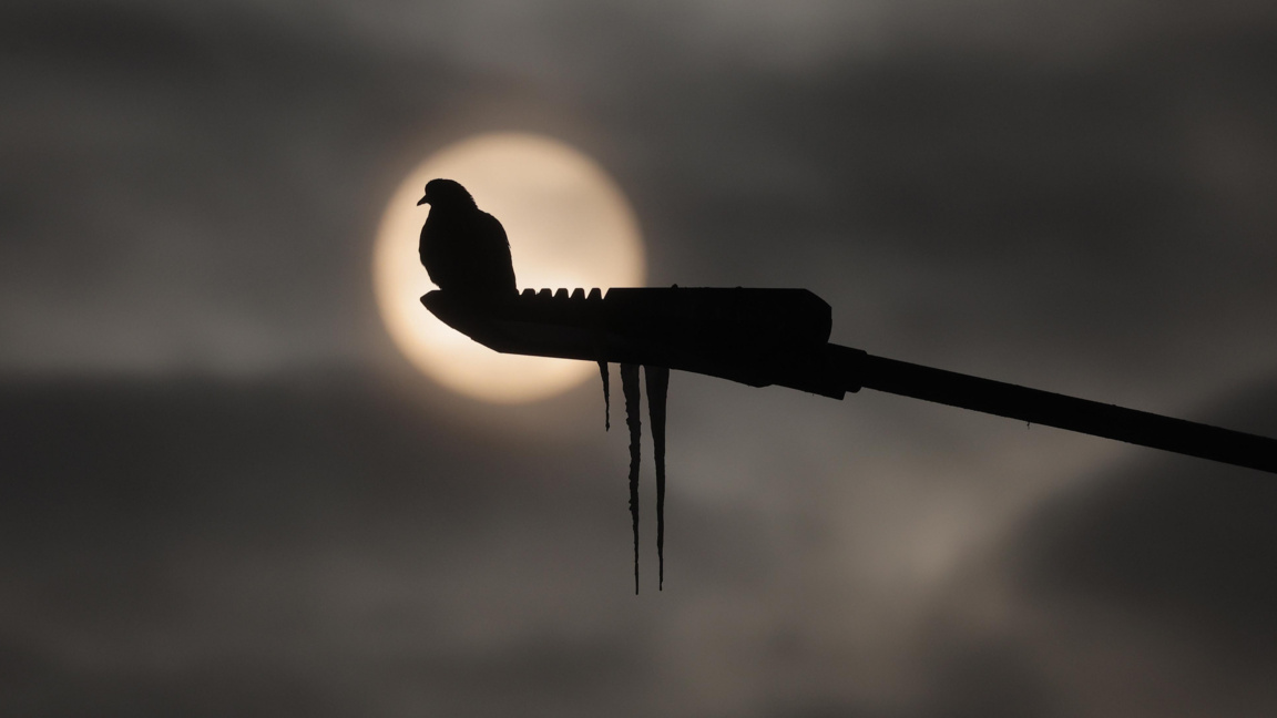 Руският град Североморск, дом на ВМС база, е на аварийно електрозахранване