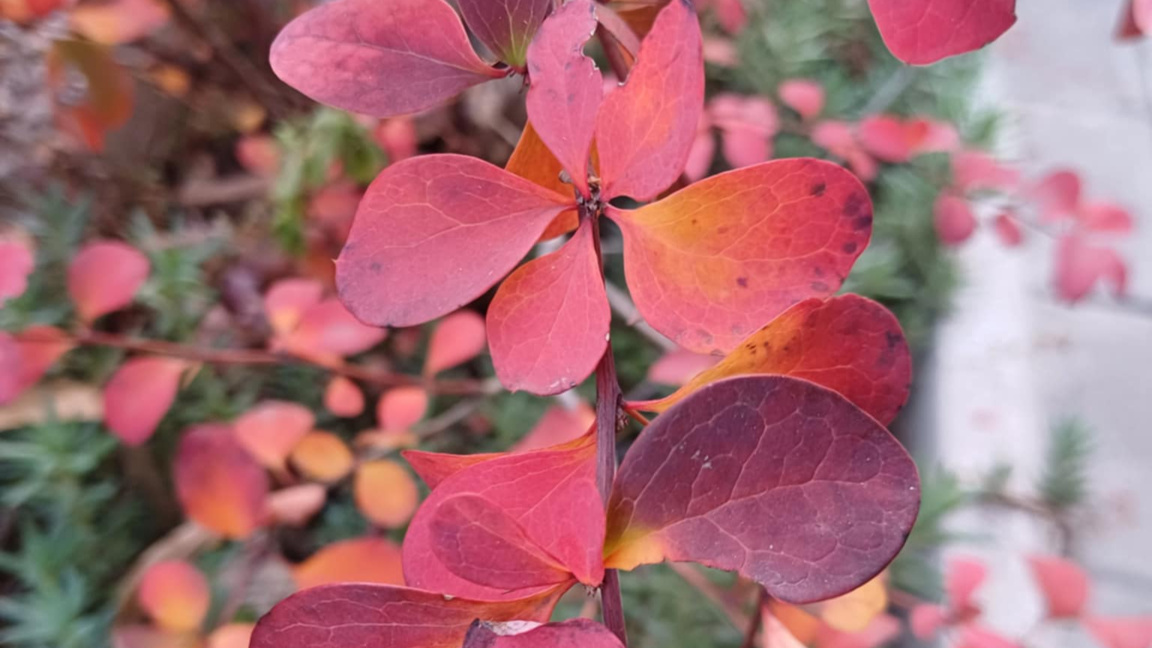 Старо и ново "Ден след ден"