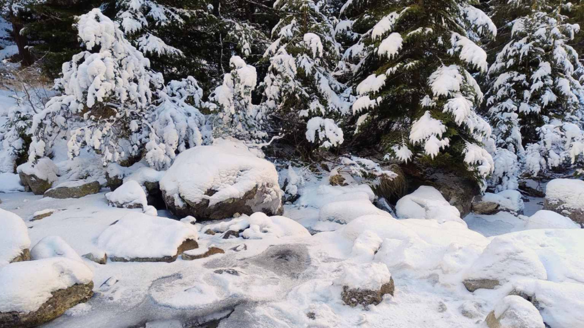 Добри условия за туризъм в планините ...