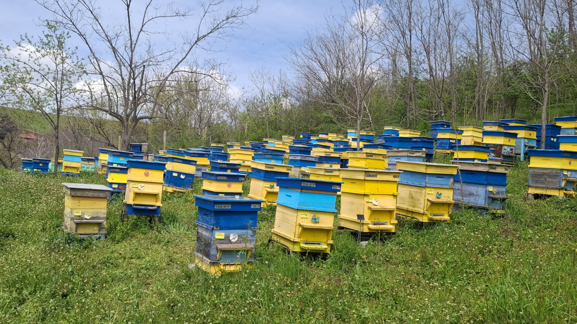 В Плевен откриват 23-ото издание на Международното  изложение-договаряне "Пчеларство Плевен 2026“