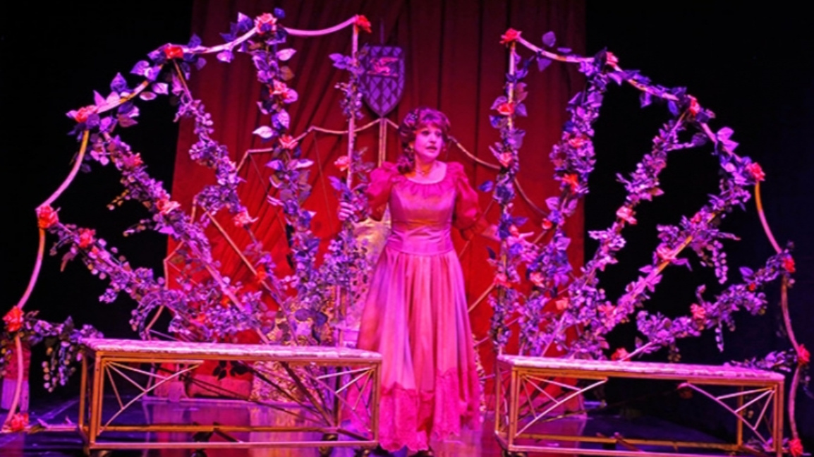 "Да целунеш принцеса" в Музикалния театъ...