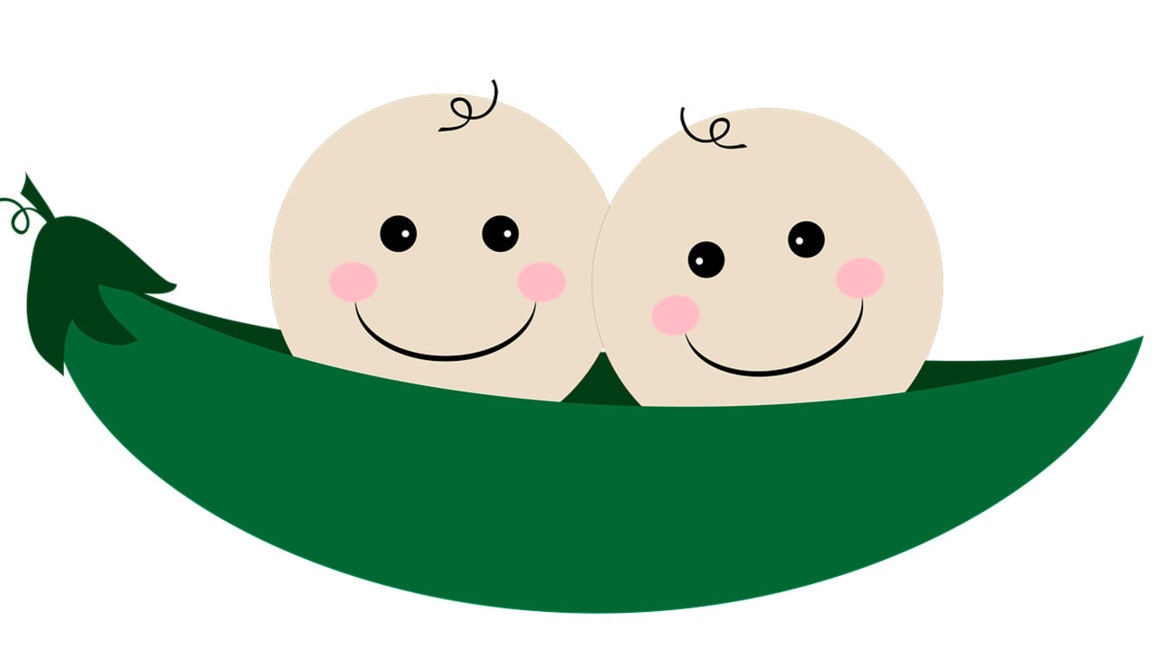 Доц. Мая Влахова: В голямата картина на имената има всичко