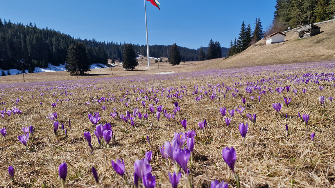 „Ефир за приятели“ с Лалка Радкова...