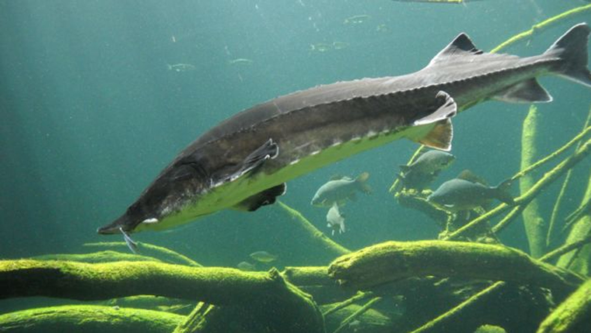 България – на първо място по износ на че...