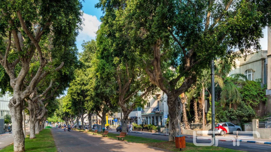 Как, къде и защо се засаждат дърветата в...