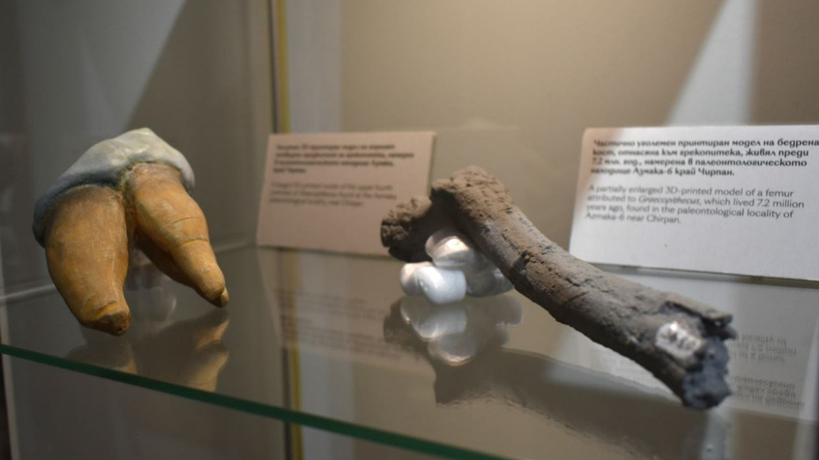 Открытие в Болгарии: предки человека ход...