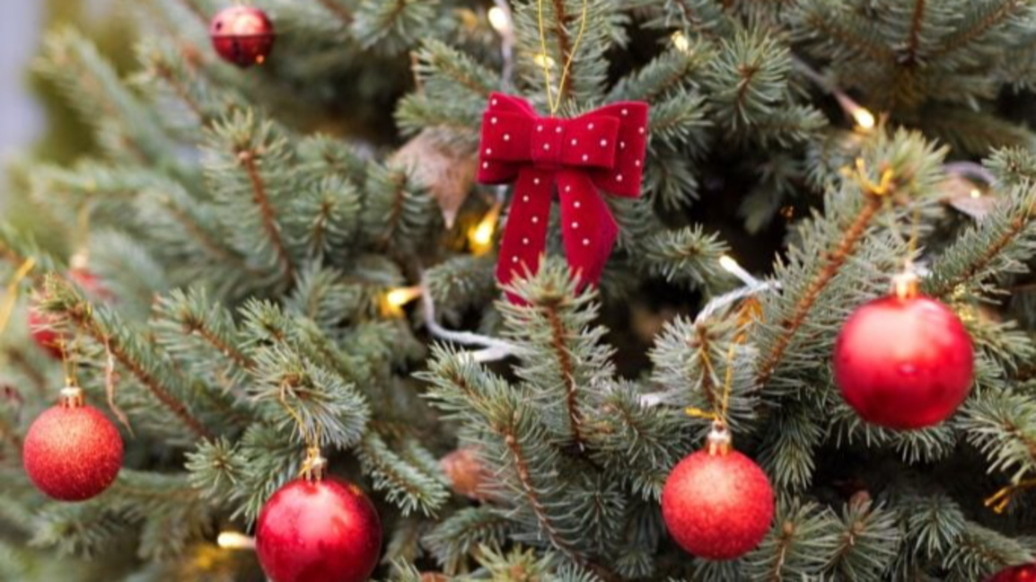 Коледната елха...