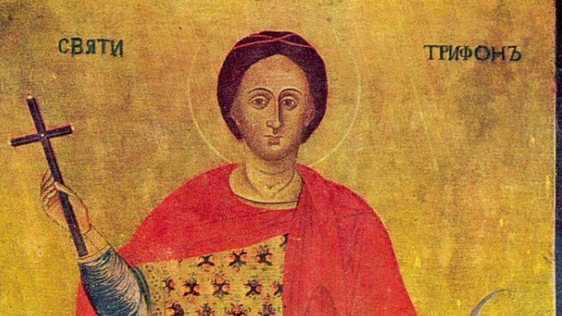 Славимо Светог мученика Трифуна...