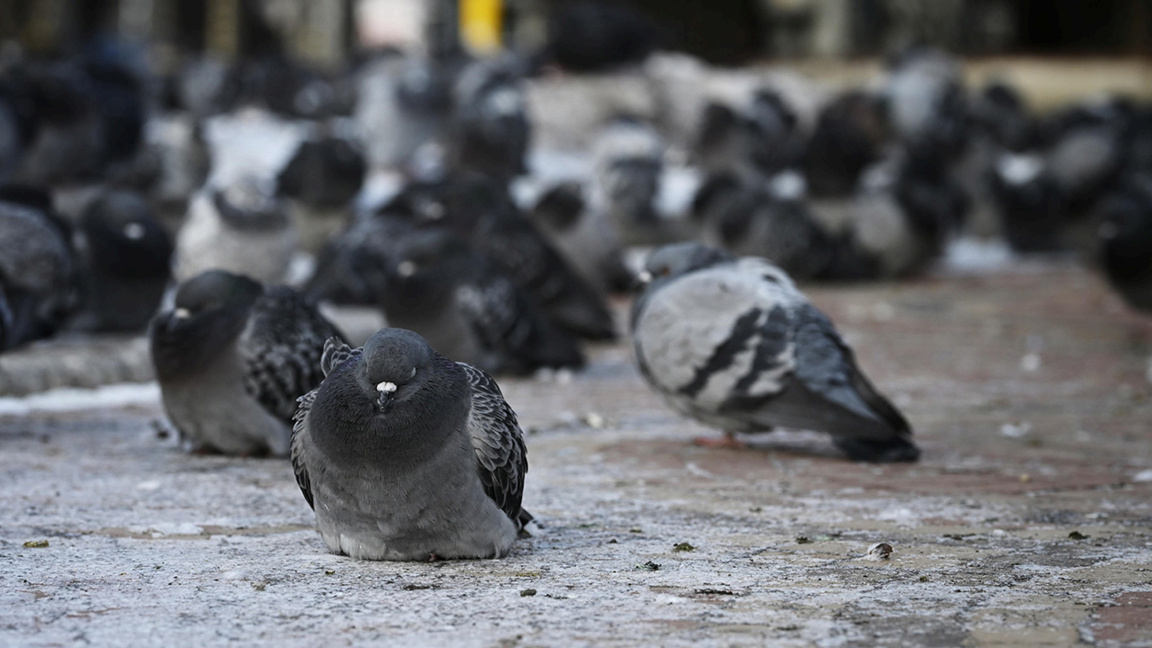 Météo: Vigilance jaune grand froid dans 14 régions