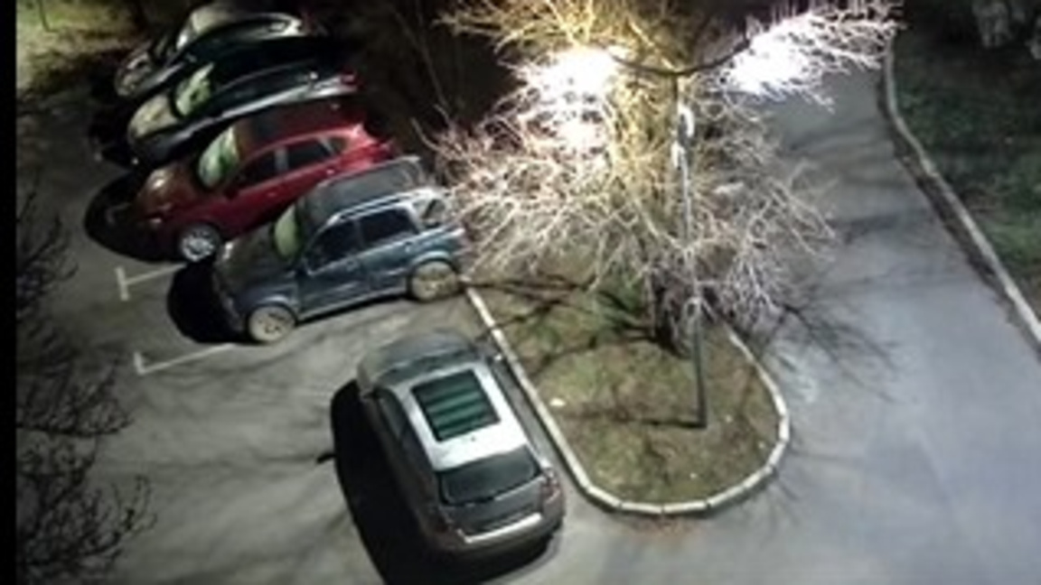 Откраднаха украсена елха в Радомир