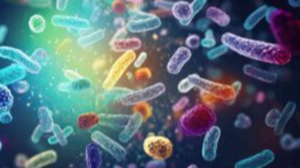 Пробиотици