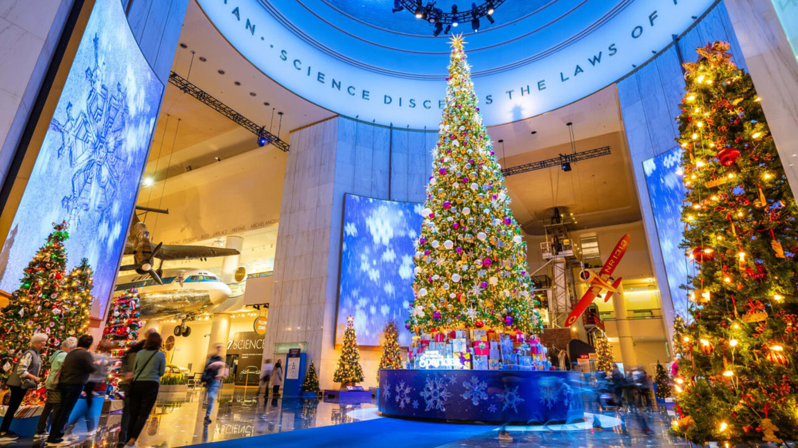 Βουλγάρικα στοιχεία σε έλατα στις ΗΠΑ