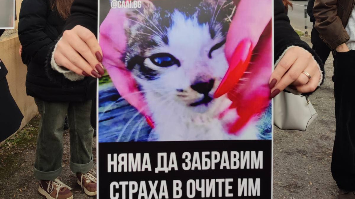 Активисти: Ще продължим да искаме максим...