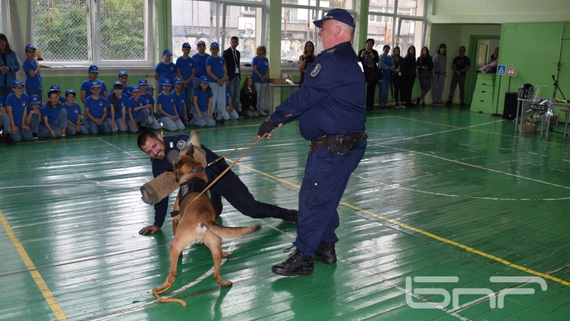 Знания и умения на децата за справяне в ...
