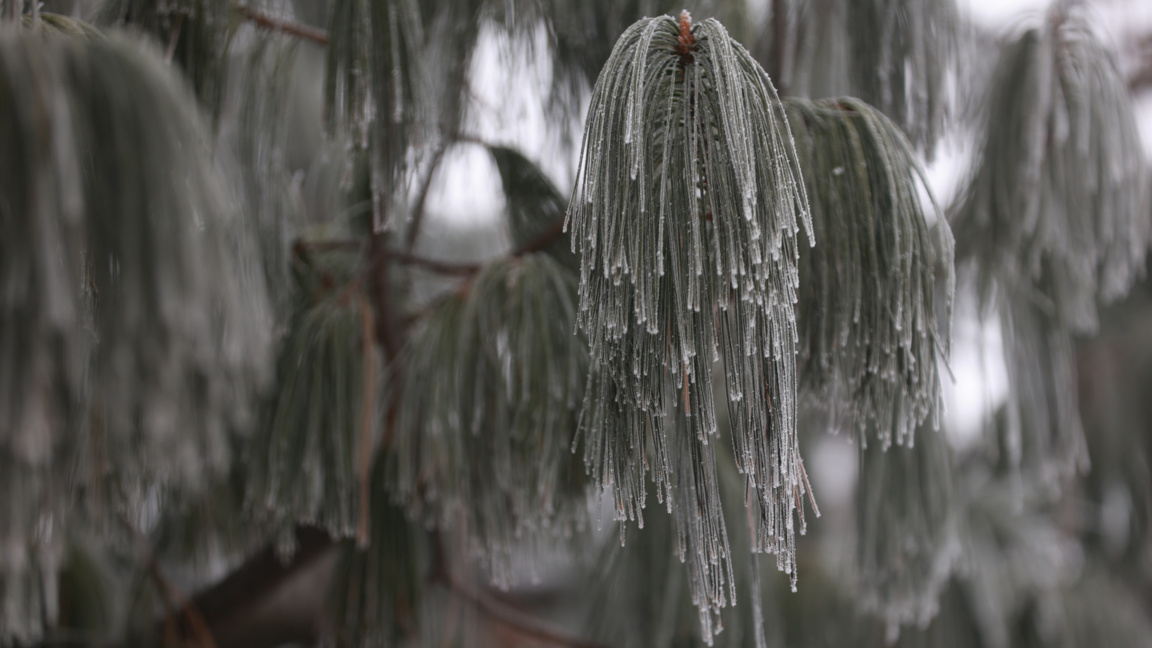 Новата седмица идва с валежи от дъжд, на места -  условия за поледици