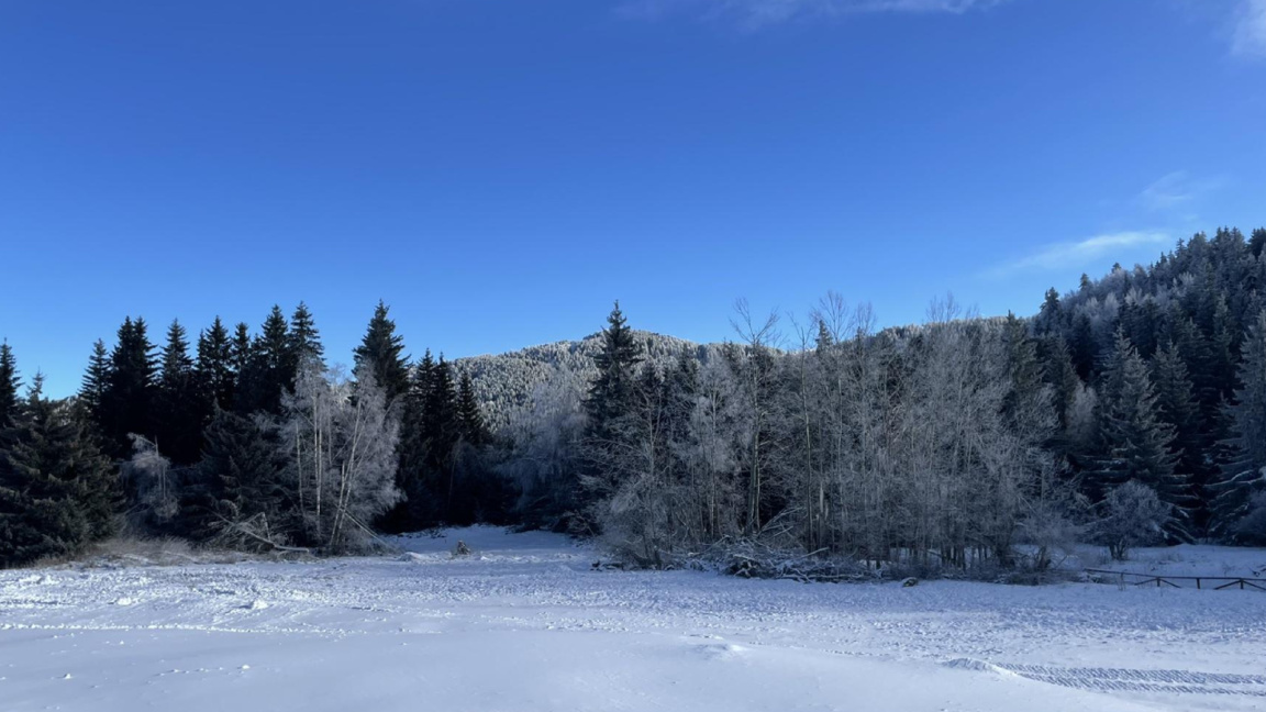 Parashikimi i motit për fundjavën