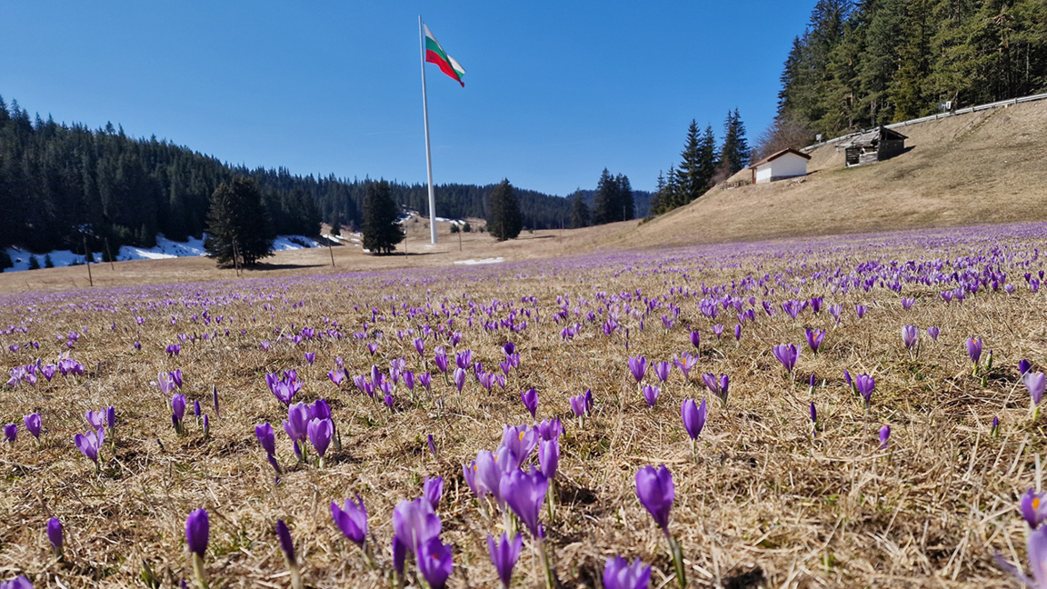 Весенняя погода продолжается ...