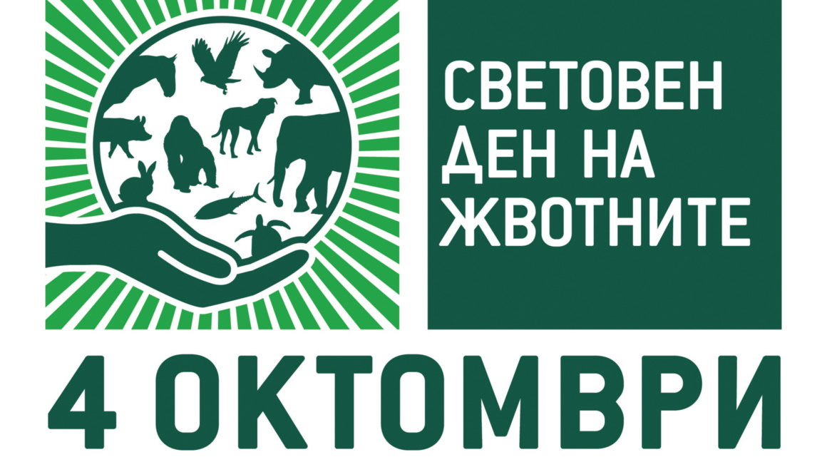 На Световния ден на животните - да погледнем през техните очи