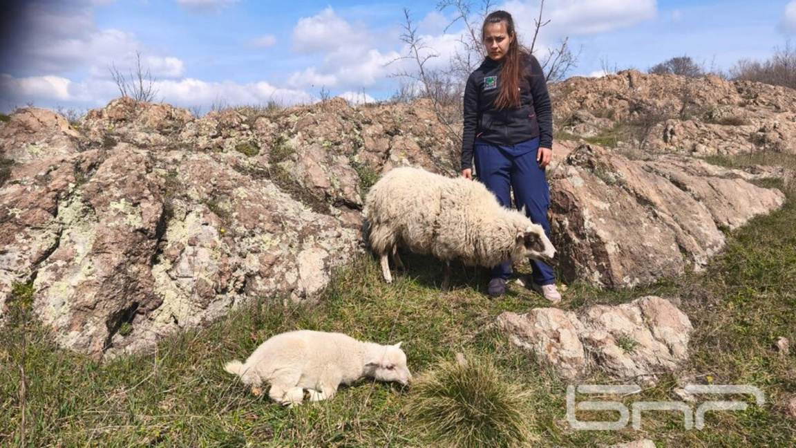 Щастливата развръзка: Опасна акция - спа...
