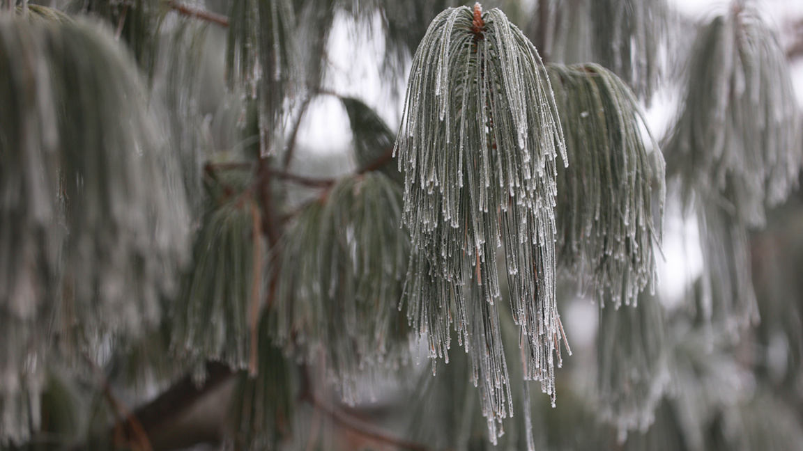Météo : Vigilance jaune grand froid à So...