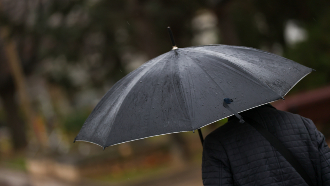 До 12 градуса се очакват днес у нас ...