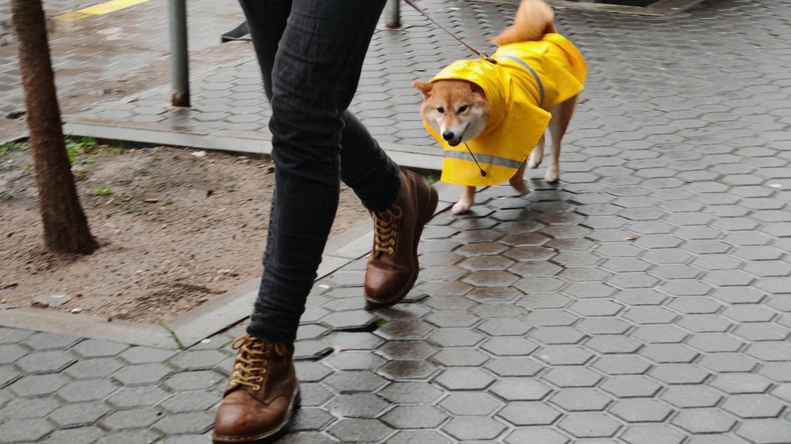 През почивните дни ще е облачно с валежи...