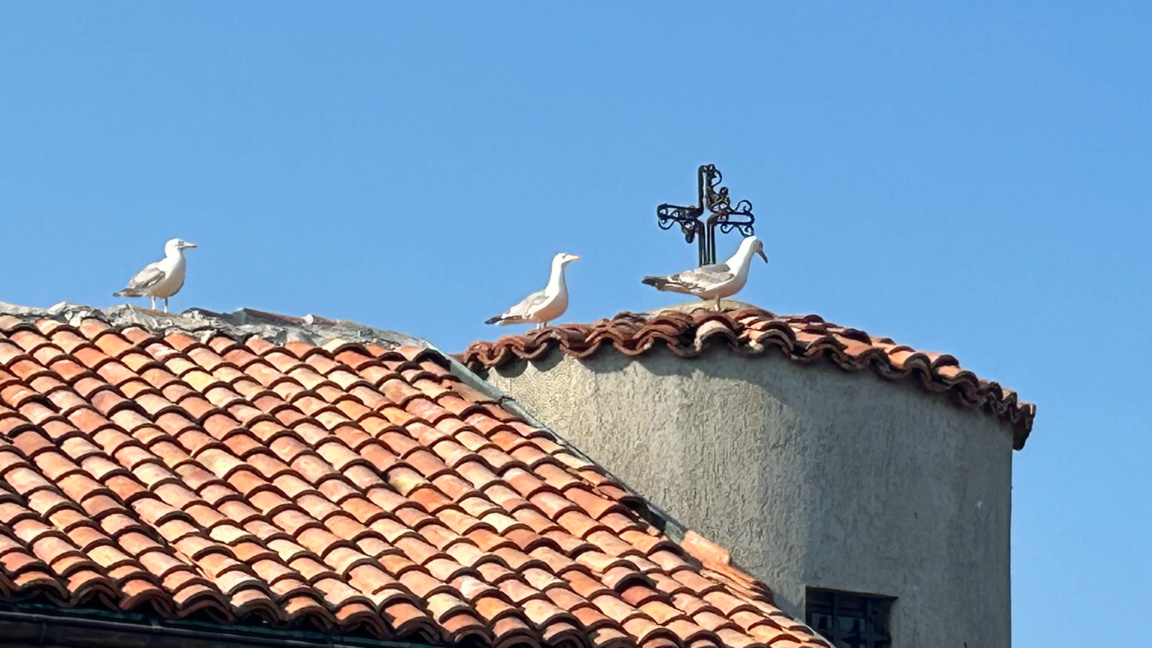 Храмът на остров Света Анастасия край Бургас