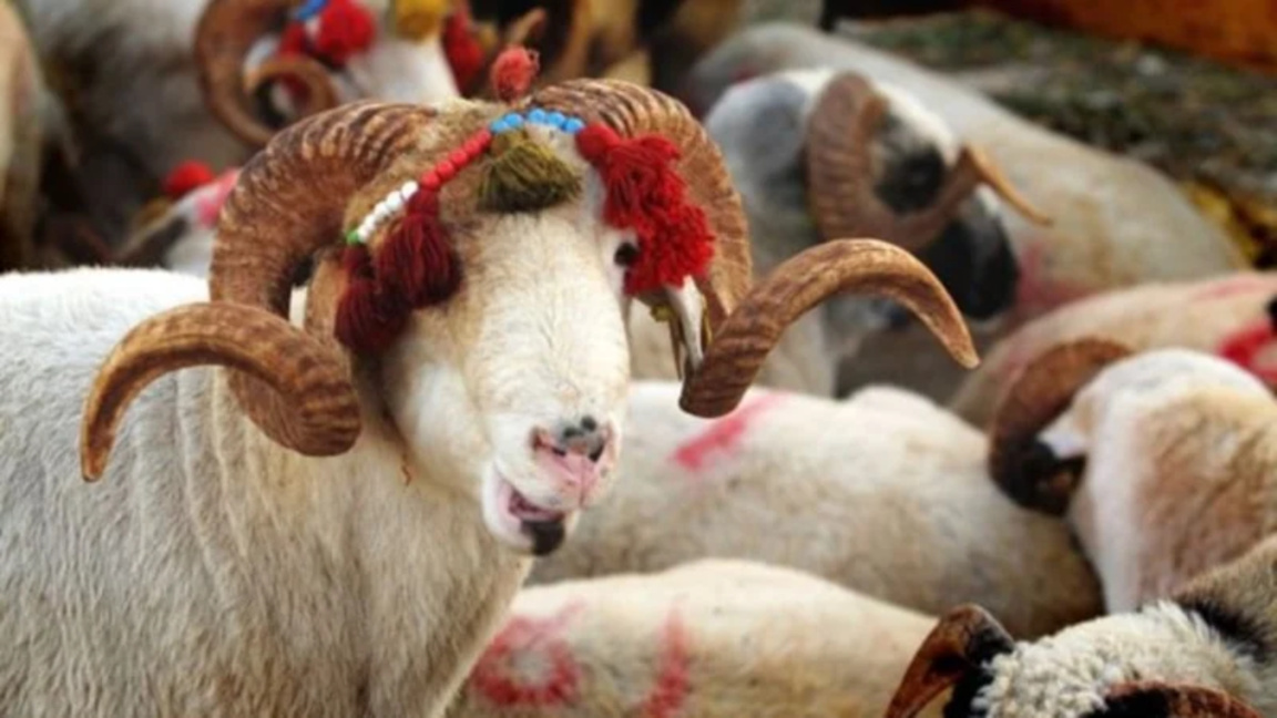 Cuma öğleden sonra...