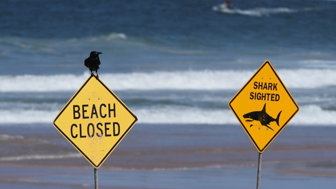 Жена загина при атака на акула в Австрал...