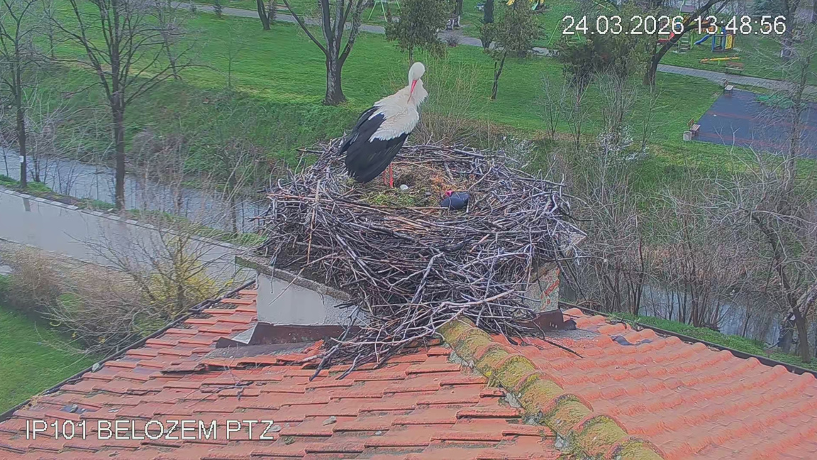 За животните с любов - С грижа и отговор...