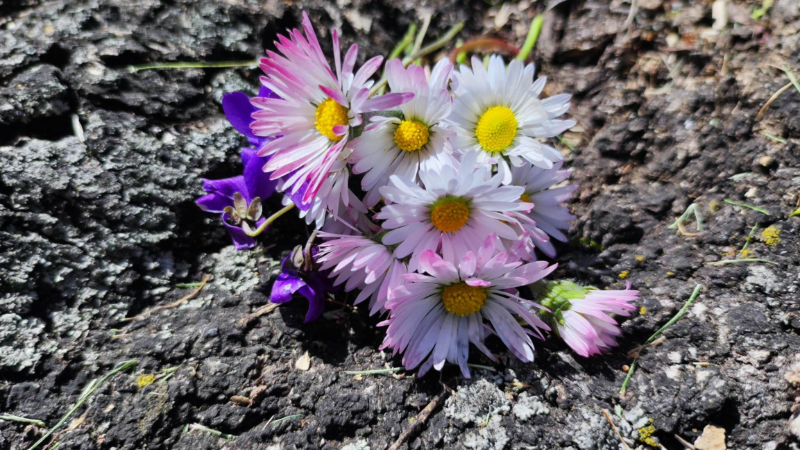 „Ефир за приятели“ с Лалка Радкова...