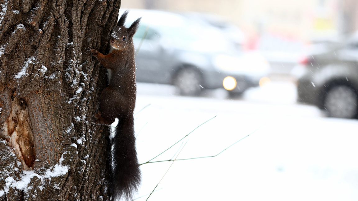 Временска прогноза за петак, 9. јануар...