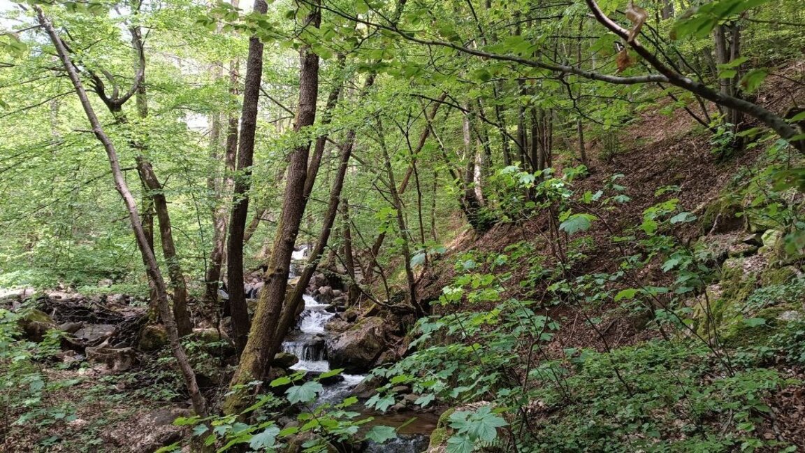 Сказочная прогулка в окрестностях Софии – от Кладницы до "Живой воды"